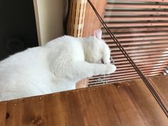 -B.O.M波姆烘焙(凤凰街店)