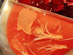 -九鼎轩脆毛肚火锅(南京东路店)