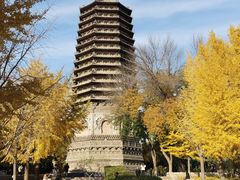 -玲珑塔公园