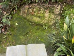 -十八棵（老龙井）御茶园(老龙井店)