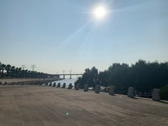 -宝安西湾红树林湿地公园