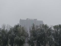 -吉林大学中日联谊医院(中心院区)