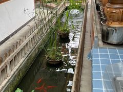-丫口花园餐厅·融合菜