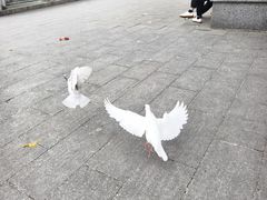 -六祖寺