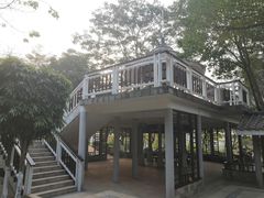-广州国际生物岛山地公园揽胜园