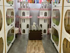 -青奢宠物·青奢猫舍