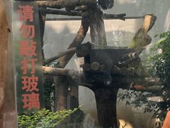 -成都动物园