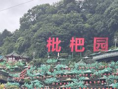 -枇杷园食为鲜火锅(南山店)