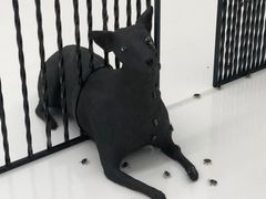 -胶囊画廊