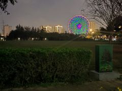 -万绿园