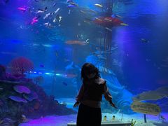 -沈阳海洋探索中心