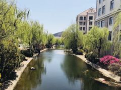 -第四食堂(中国海洋大学店)