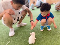 -萌宠亲子动物乐园(槐房万达店)