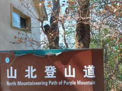 -紫金山山顶公园