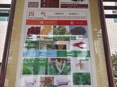 -广州神农草堂中医药博物馆