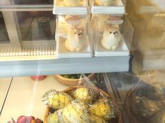 -柴犬高等学院·狗咖·柴犬售卖·宠物训练