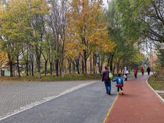 -大兴滨河森林公园