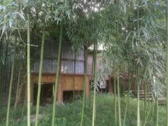 -洪湖悦兮半岛国际温泉度假村