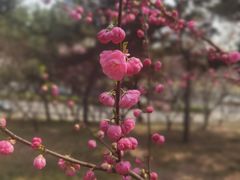 -玲珑塔公园