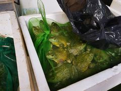 -鸿顺老铁锅美蛙鱼府(解放碑店)