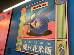 -Asianplus海蓝鸡饭
