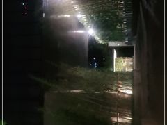 -上海璞麗酒店