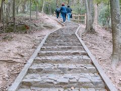 -上海佘山国家森林公园天马山园