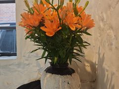 -Apollo·西班牙小酒馆(安福路店)