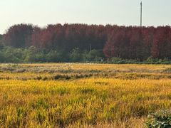 -南京枫彩漫城