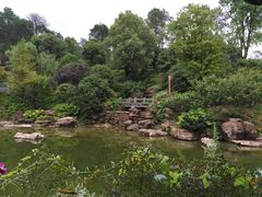 -铁山坪森林公园