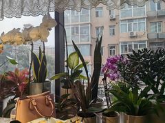 -懒人盐府人家(航天桥店)