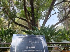 -孔府