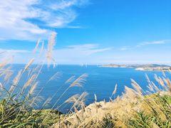 -长江澳风力发电景观区