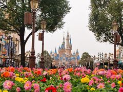 -上海迪士尼度假区