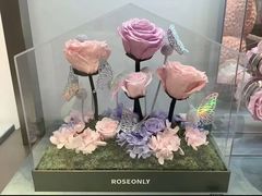 -ROSEONLY诺誓(广州K11店)