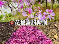 -广东花都湖国家湿地公园