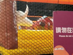 -VFSC极限蹦床主题公园(乐园道彩悦城阳光店)