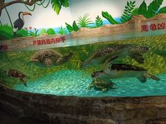 -石家庄海洋公园