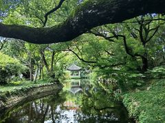-叶家花园