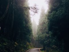 -山王坪喀斯特国家生态公园