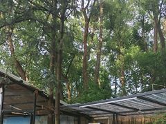 -宅里香.自然餐厅(湘大店)