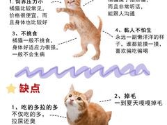 -翊宠yipet猫狗购宠庄园犬舍•猫舍