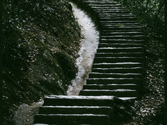 -马峦山郊野公园