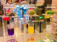 -1828王老吉·草本新茶(珠江新城地铁站店)