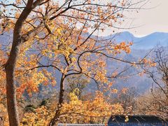 -北京上方山国家森林公园
