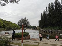 -三水森林公园