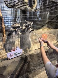 -酷嗒动物文化乐园(cutezoo西溪乐天城店)