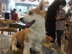 -平行世界·猫咖(首经贸店)