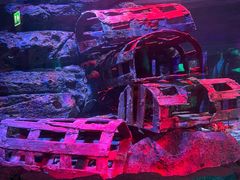 -暹罗海洋世界