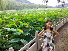 -南戴河国际娱乐中心